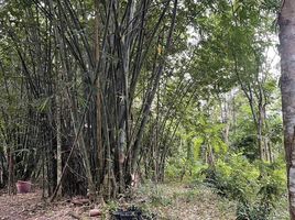  Grundstück zu verkaufen in Tha Mai, Chanthaburi, Khao Baisi, Tha Mai