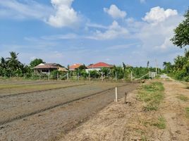  Grundstück zu verkaufen in Sai Noi, Nonthaburi, Khlong Khwang
