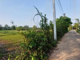  Land for sale in Ubon Ratchathani, Rai Noi, Mueang Ubon Ratchathani, Ubon Ratchathani