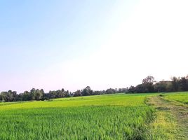  Land for sale in Kalasin, Bueng Wichai, Mueang Kalasin, Kalasin