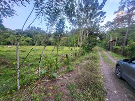  Grundstück zu verkaufen in Guacimo, Limon, Guacimo, Limon, Costa Rica