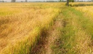 N/A Land for sale in Nong Mueang, Lop Buri 