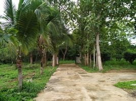 2 Bedroom House for sale in Nong Bua, Phu Ruea, Nong Bua