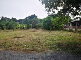  Grundstück zu verkaufen in Si Racha, Chon Buri, Bueng