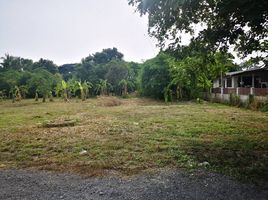  Land for sale in Buddhist Temple, Takhian Tia, Bueng