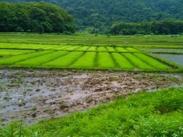  Grundstück zu verkaufen in Mueang Chiang Rai, Chiang Rai, Tha Sut