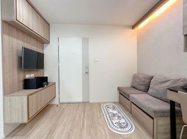 1 Schlafzimmer Wohnung zu verkaufen im Lumpini Ville Onnut 46, Suan Luang, Suan Luang