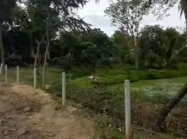  Land for sale in Nakhon Pathom, Huai Muang, Kamphaeng Saen, Nakhon Pathom