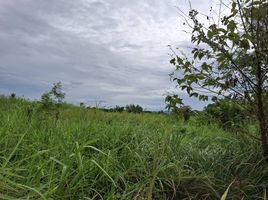  Grundstück zu verkaufen in Hua Hin, Prachuap Khiri Khan, Thap Tai