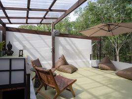 2 Schlafzimmer Villa zu verkaufen in Thalang, Phuket, Pa Khlok