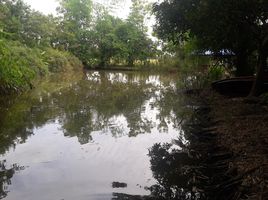 ขายที่ดิน ใน ดอยสะเก็ด เชียงใหม่, ตลาดใหญ่, ดอยสะเก็ด