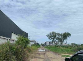  Land for sale in Bueng Thong Lang, Lam Luk Ka, Bueng Thong Lang