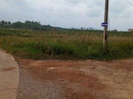  Land for sale in Thung Tako, Chumphon, Chong Mai Kaeo, Thung Tako