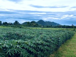  Grundstück zu verkaufen in Sai Yok, Kanchanaburi, Si Mongkhon