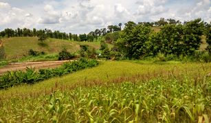 N/A Land for sale in Pa Sang, Chiang Rai 