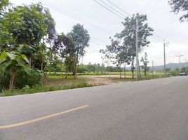 ขายที่ดิน ใน ดอยสะเก็ด เชียงใหม่, เชิงดอย, ดอยสะเก็ด, เชียงใหม่, ไทย