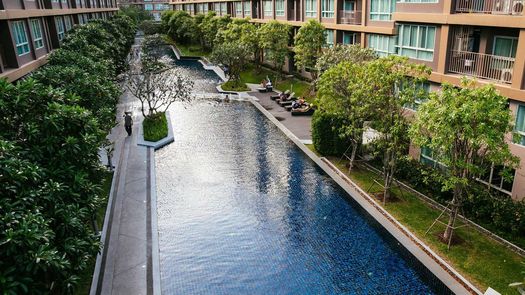 Photo 1 of the Communal Pool at D Condo Creek