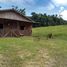  Land for sale in Brazil, Nhamunda, Amazonas, Brazil