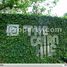 4 Bedroom Condo for rent at Cairnhill Rise, Cairnhill, Newton, Central Region, Singapore