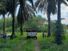  Land for sale in Krabi Airport, Nuea Khlong, Krabi Noi