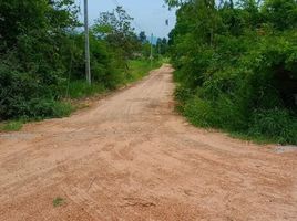  Land for sale in Mueang Chaiyaphum, Chaiyaphum, Ban Lao, Mueang Chaiyaphum