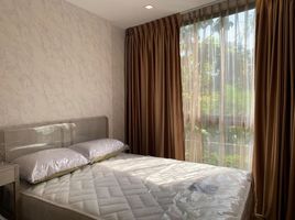 1 Bedroom Condo for rent at The Nest Sukhumvit 71, Phra Khanong Nuea