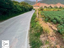  Grundstück zu verkaufen in Mueang Chon Buri, Chon Buri, Mueang