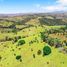  Land for sale in Los Santos, Lajamina, Pocri, Los Santos