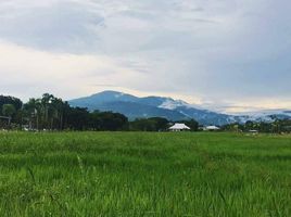 3 Bedroom House for sale at Baan Kaew Sa, Rim Nuea, Mae Rim, Chiang Mai