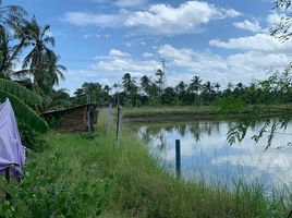  Grundstück zu verkaufen in Ban Phaeo, Samut Sakhon, Lak Sam, Ban Phaeo