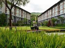 1 Schlafzimmer Wohnung zu vermieten im Dcondo Campus Resort Chiang-Mai, Suthep