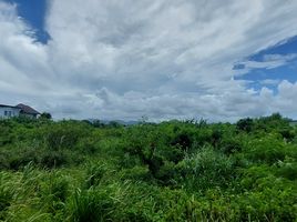  Grundstück zu verkaufen in Thalang, Phuket, Choeng Thale