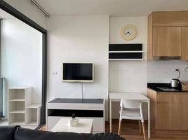 Studio Apartment for rent at Ideo Blucove Sukhumvit, Bang Na