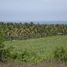  Land for sale in Cabo Corrientes, Jalisco, Cabo Corrientes