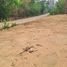  Land for sale in Lampang, Phichai, Mueang Lampang, Lampang