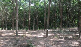 N/A Land for sale in Nong Kathao, Phitsanulok 