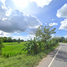  Land for sale in Ban Haet, Khon Kaen, Khok Samran, Ban Haet