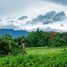  Land for sale in Mae Rim Chiang Mai, Mueang Kaeo, Mae Rim, Chiang Mai