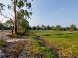  Land for sale in Ubon Ratchathani, Rai Noi, Mueang Ubon Ratchathani, Ubon Ratchathani