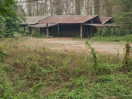  Land for sale in Chiang Rai, Bua Sali, Mae Lao, Chiang Rai