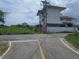ขายที่ดิน ใน เมืองเชียงใหม่ เชียงใหม่, ป่าแดด, เมืองเชียงใหม่, เชียงใหม่, ไทย