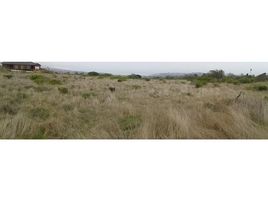  Land for sale in Petorca, Valparaiso, Petorca, Petorca