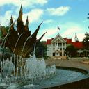 บุ่งคล้า