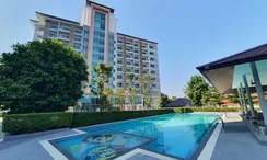 Photos 2 of the Communal Pool at Touch Hill Place Elegant