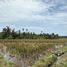  Land for sale in Balian, Bali, Balian, Tabanan