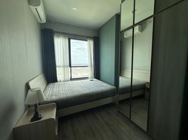 1 Schlafzimmer Appartement zu vermieten im Knightsbridge Collage Ramkhamhaeng, Hua Mak