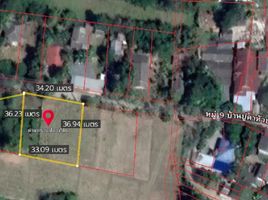  Land for sale in Renu Medical Clinic, San Kamphaeng, San Kamphaeng