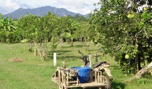 N/A Grundstück zu verkaufen in Lin Thin, Kanchanaburi 