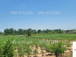  Land for sale in Chon Buri, Bo Kwang Thong, Bo Thong, Chon Buri