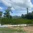  Grundstück zu verkaufen in Lipa Noi, Surat Thani, Lipa Noi
